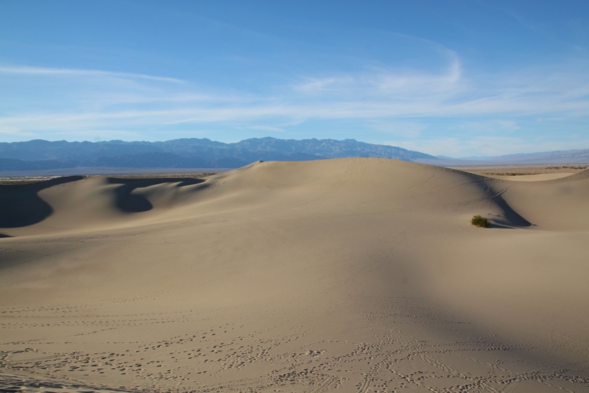 Mesquite Dunes